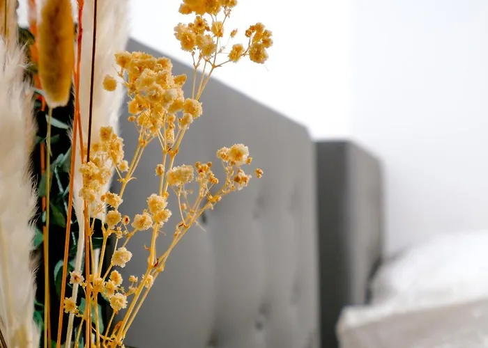 Maisonette 2 * Bad Konig